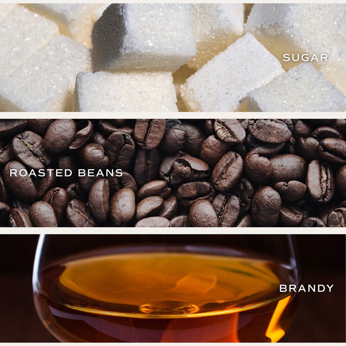 Daily Bread Fresh Coffee Soy Candle
